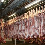 Animal Slaughterhouses