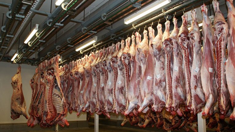 Animal Slaughterhouses