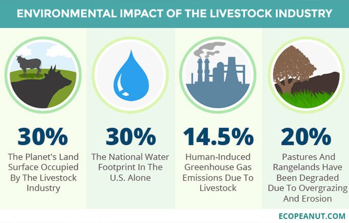 Meat and the Environment