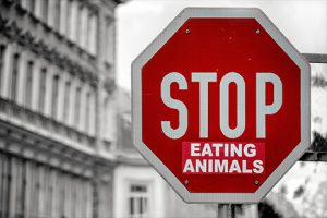 Eating Red Meat Harms the Environment