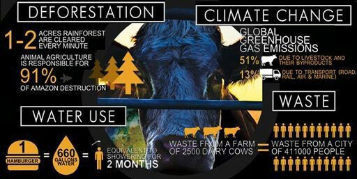 climate change and environment