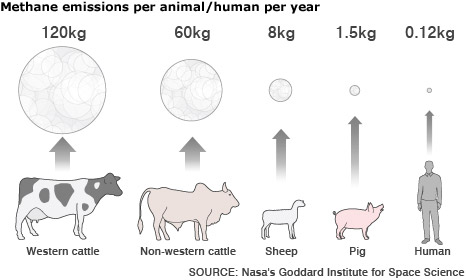 greenhouse emissions